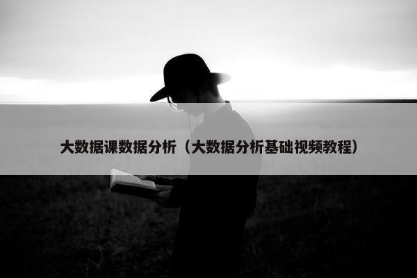 大数据课数据分析（大数据分析基础视频教程）