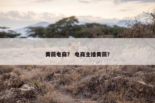 黄薇电商？ 电商主播黄薇？