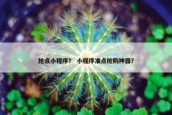 抢点小程序？ 小程序准点抢购神器？