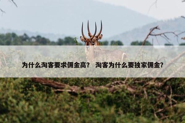 为什么淘客要求佣金高？ 淘客为什么要独家佣金？
