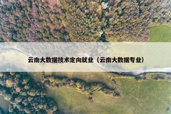 云南大数据技术定向就业（云南大数据专业）