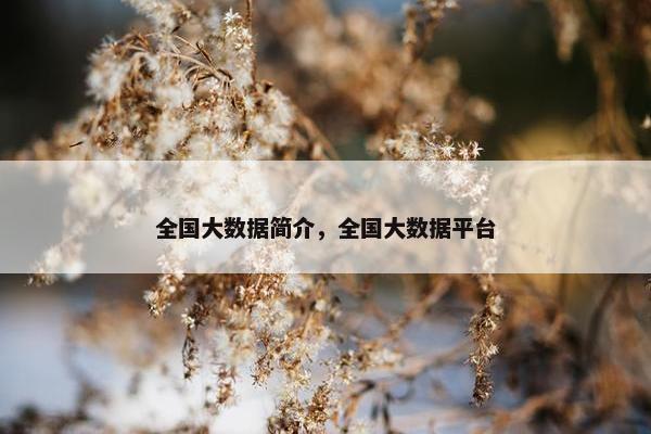 全国大数据简介，全国大数据平台