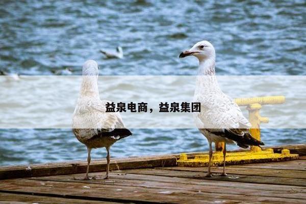 益泉电商，益泉集团