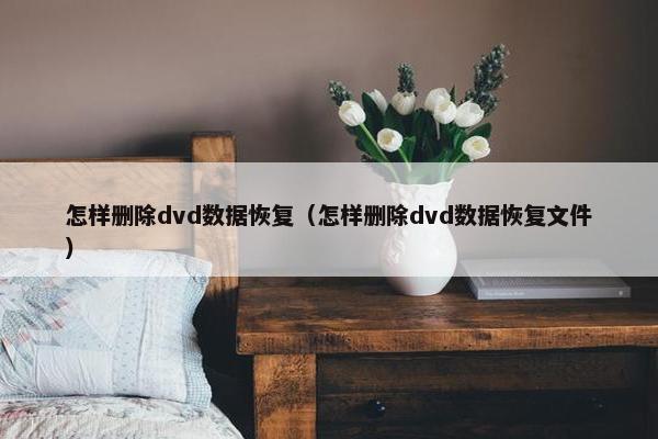 怎样删除dvd数据恢复（怎样删除dvd数据恢复文件）