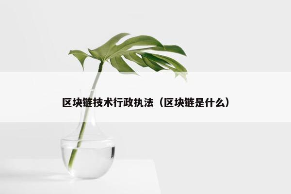 区块链技术行政执法（区块链是什么）