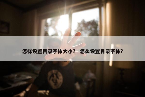 怎样设置目录字体大小？ 怎么设置目录字体？