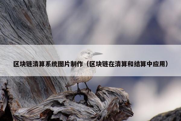 区块链清算系统图片制作（区块链在清算和结算中应用）