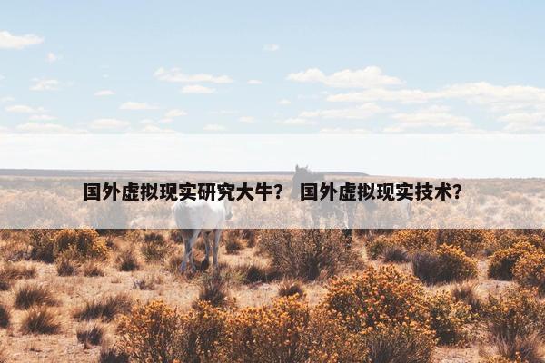 国外虚拟现实研究大牛？ 国外虚拟现实技术？