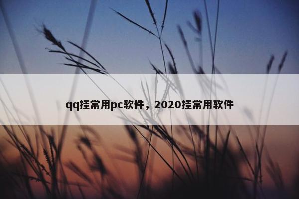 qq挂常用pc软件，2020挂常用软件