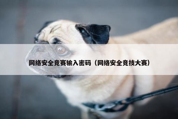 网络安全竞赛输入密码（网络安全竞技大赛）