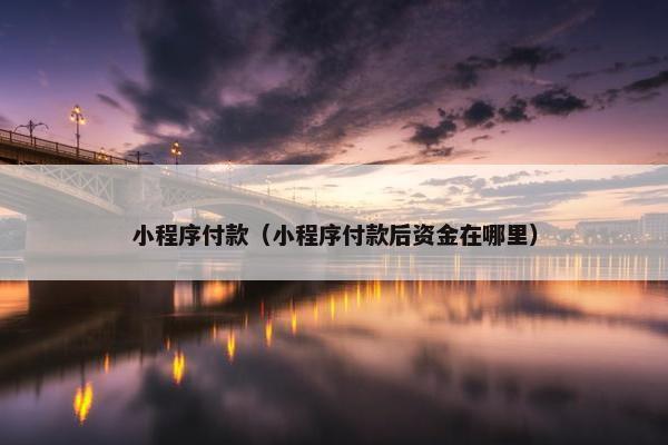 小程序付款（小程序付款后资金在哪里）