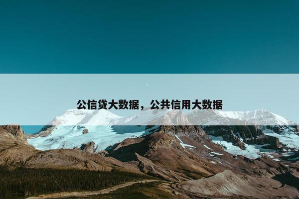 公信贷大数据，公共信用大数据