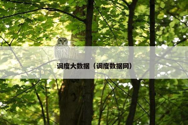 调度大数据（调度数据网）