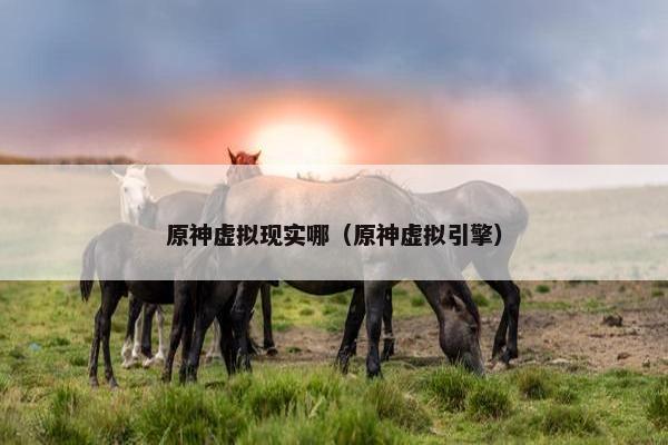 原神虚拟现实哪（原神虚拟引擎）