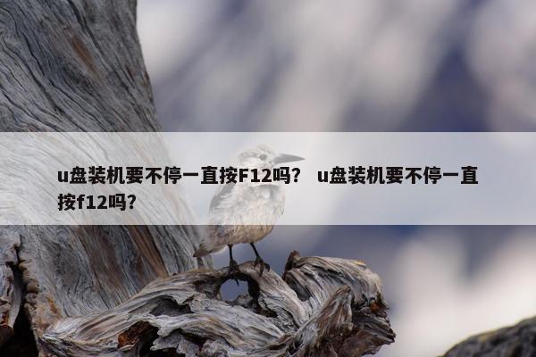 u盘装机要不停一直按F12吗？ u盘装机要不停一直按f12吗？