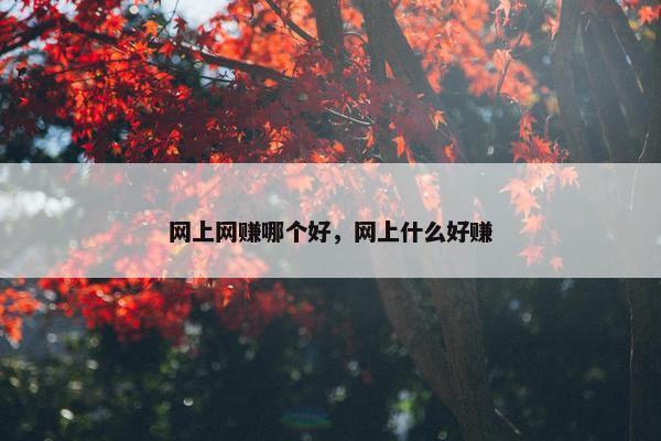 网上网赚哪个好，网上什么好赚