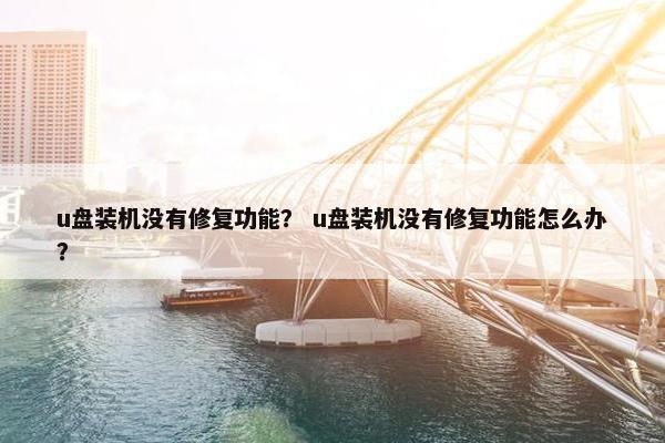 u盘装机没有修复功能？ u盘装机没有修复功能怎么办？