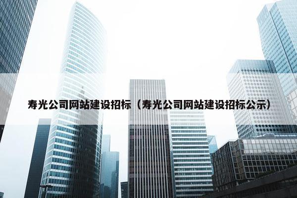 寿光公司网站建设招标（寿光公司网站建设招标公示）