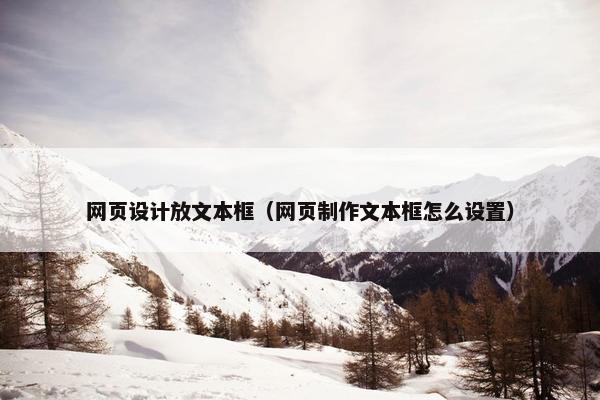 网页设计放文本框（网页制作文本框怎么设置）