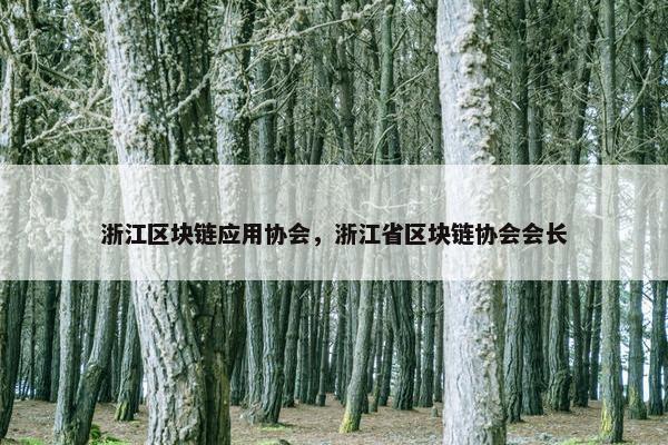 浙江区块链应用协会，浙江省区块链协会会长