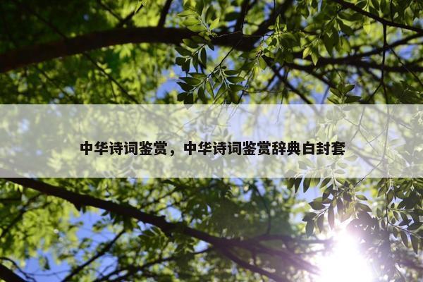 中华诗词鉴赏，中华诗词鉴赏辞典白封套
