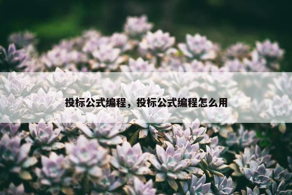 投标公式编程，投标公式编程怎么用