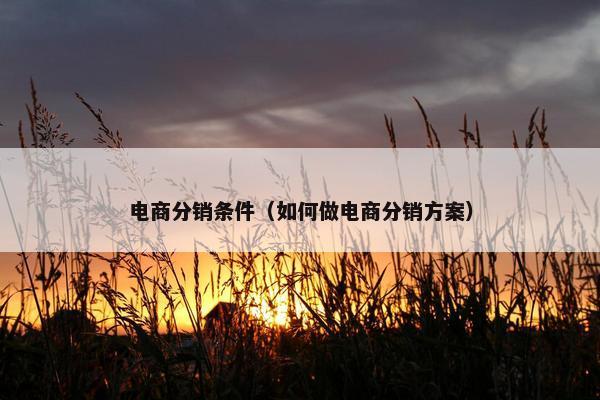 电商分销条件（如何做电商分销方案）