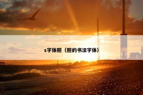 s字体照（照的书法字体）