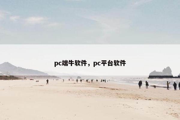 pc端牛软件，pc平台软件