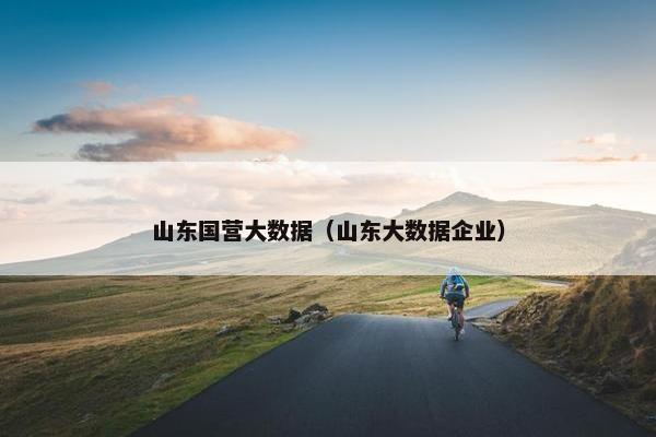山东国营大数据（山东大数据企业）