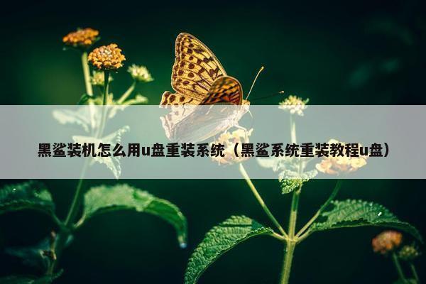 黑鲨装机怎么用u盘重装系统（黑鲨系统重装教程u盘）