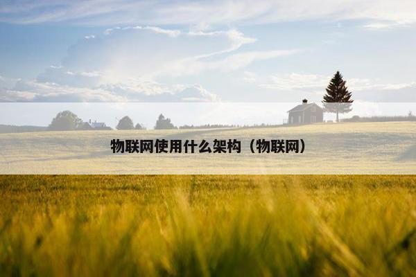 物联网使用什么架构（物联网）