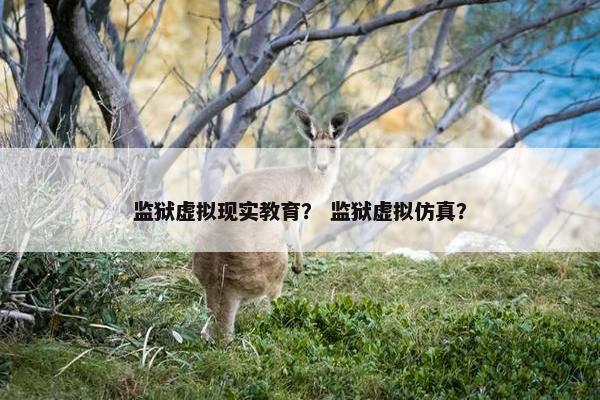 监狱虚拟现实教育？ 监狱虚拟仿真？