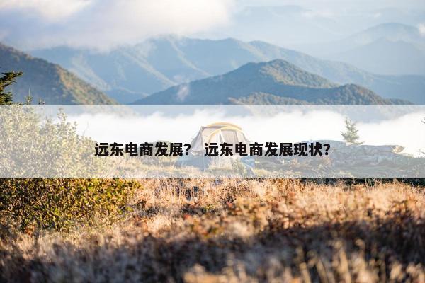 远东电商发展？ 远东电商发展现状？