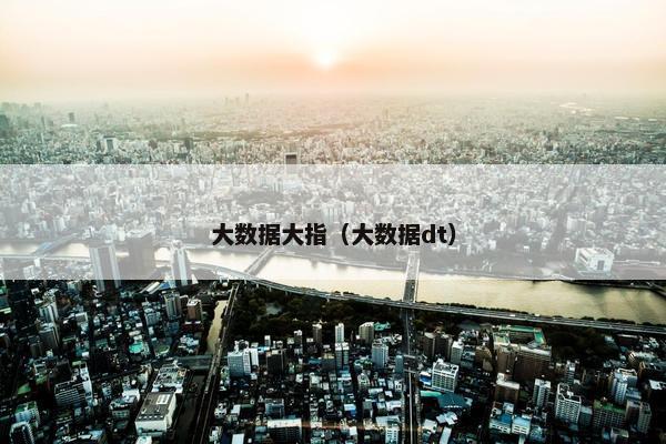 大数据大指（大数据dt）