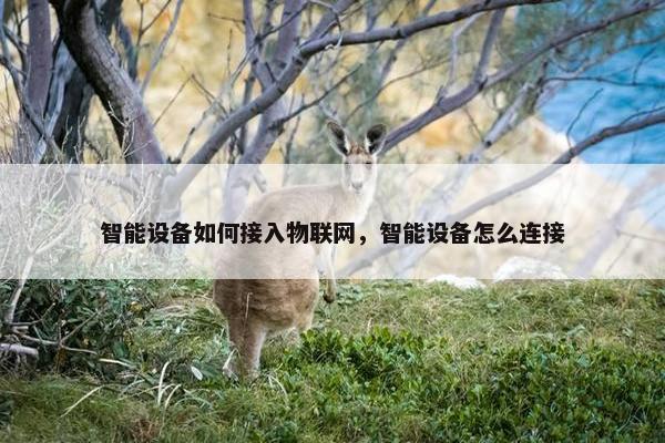 智能设备如何接入物联网，智能设备怎么连接