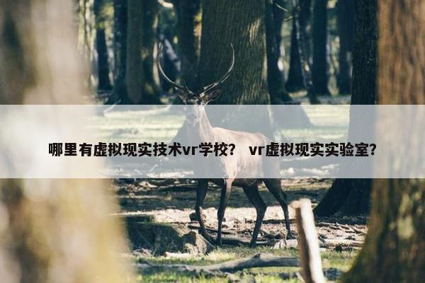 哪里有虚拟现实技术vr学校？ vr虚拟现实实验室？