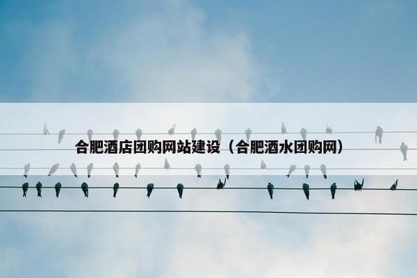 合肥酒店团购网站建设（合肥酒水团购网）