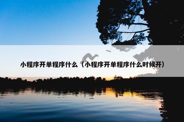 小程序开单程序什么（小程序开单程序什么时候开）