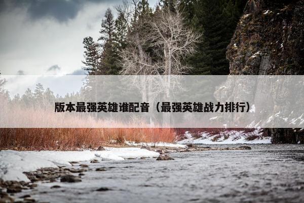 版本最强英雄谁配音（最强英雄战力排行）