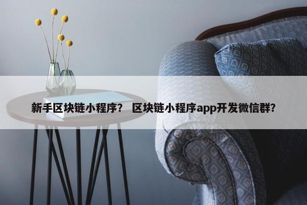 新手区块链小程序？ 区块链小程序app开发微信群？