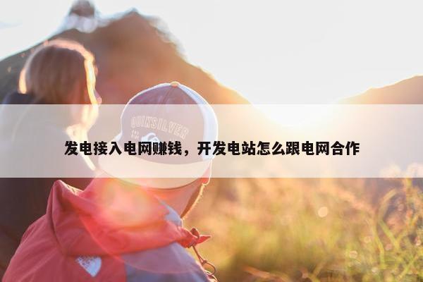 发电接入电网赚钱，开发电站怎么跟电网合作