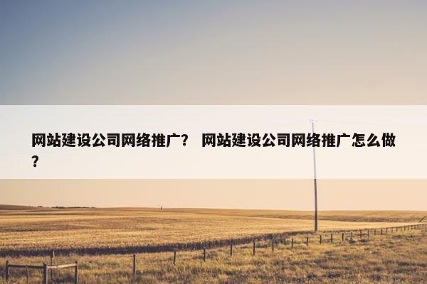 网站建设公司网络推广？ 网站建设公司网络推广怎么做？