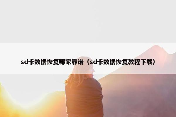 sd卡数据恢复哪家靠谱（sd卡数据恢复教程下载）