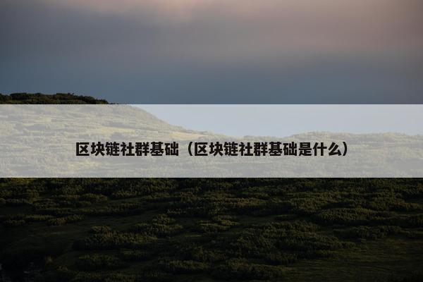 区块链社群基础（区块链社群基础是什么）