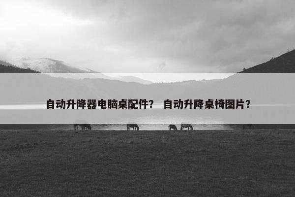 自动升降器电脑桌配件？ 自动升降桌椅图片？
