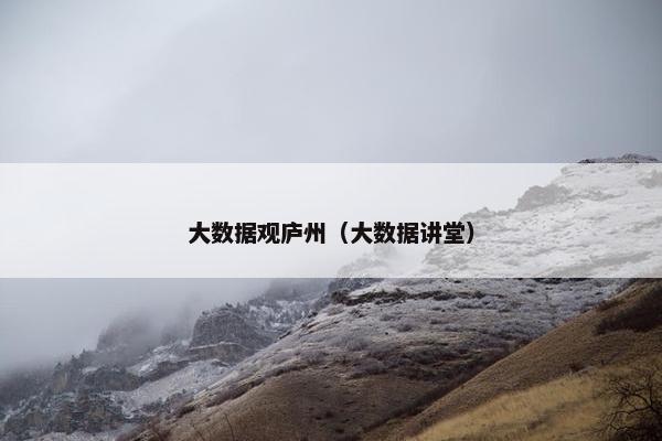 大数据观庐州（大数据讲堂）