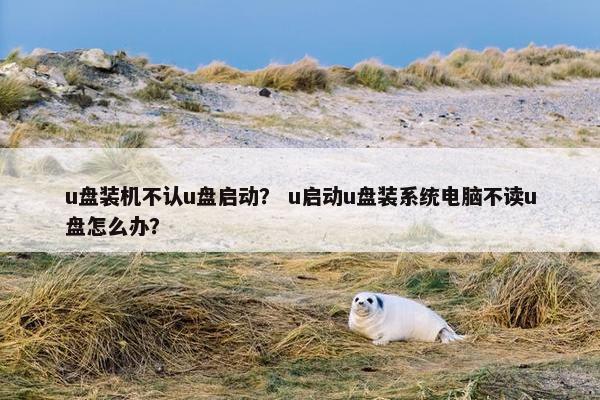 u盘装机不认u盘启动？ u启动u盘装系统电脑不读u盘怎么办？