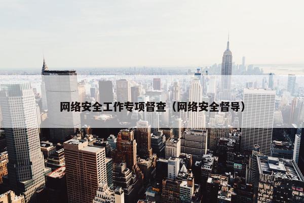网络安全工作专项督查（网络安全督导）