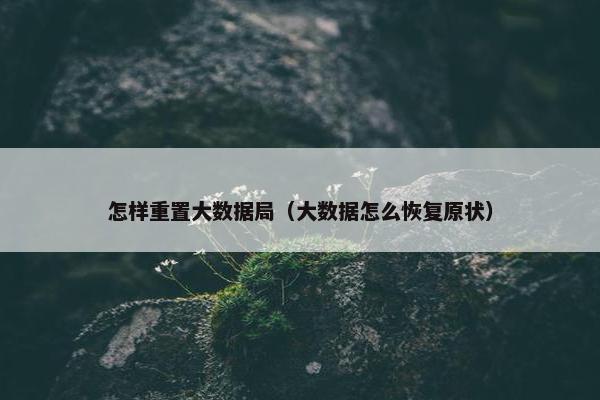 怎样重置大数据局（大数据怎么恢复原状）